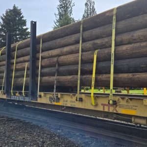 AAR approved webbing straps securing logs on railroad flatcar - Amity, Oregon
